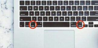 Option Key on Windows Keyboard