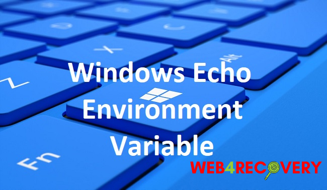 Windows Echo Environment Variable